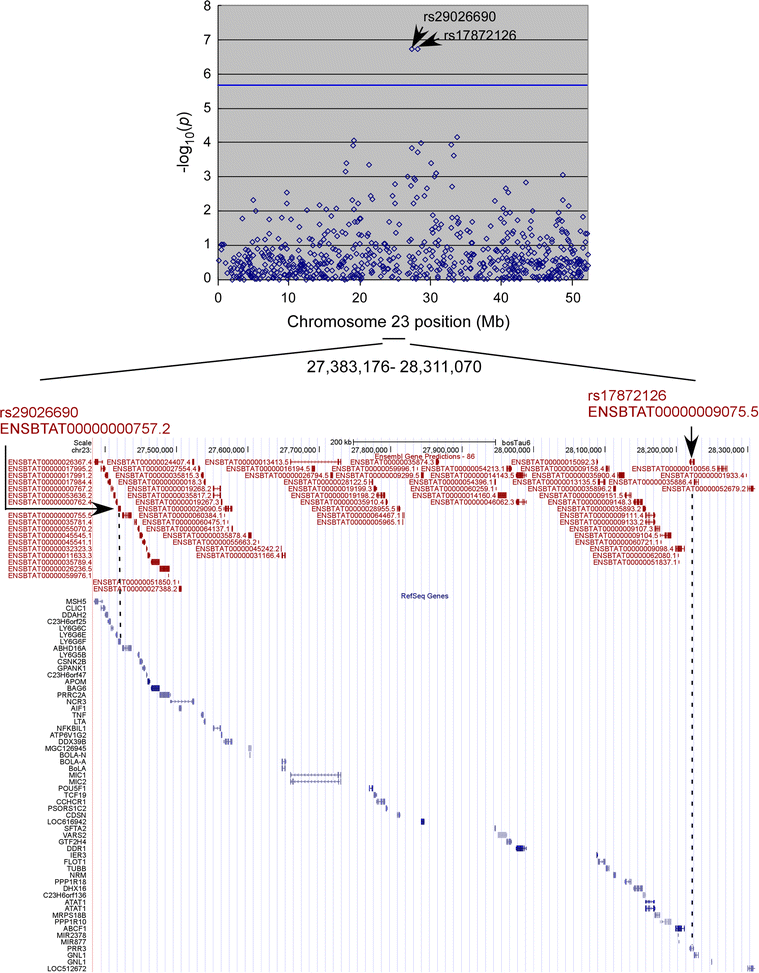 Fig. 3