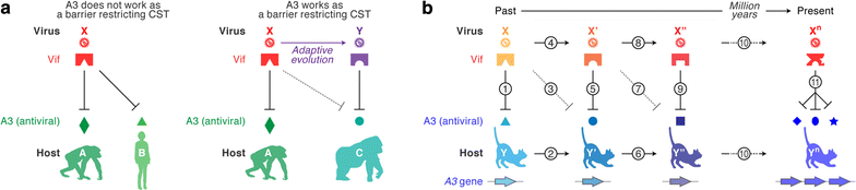 Fig. 3