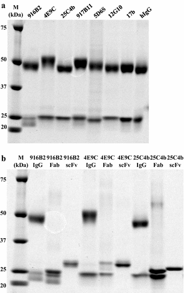 Fig. 1