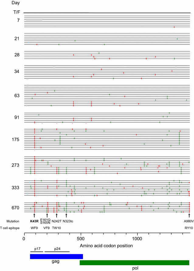 Fig. 1