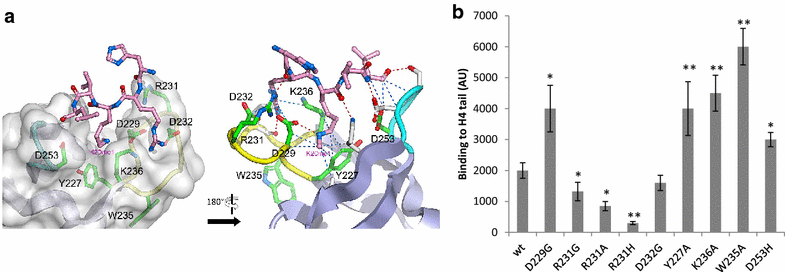 Fig. 4