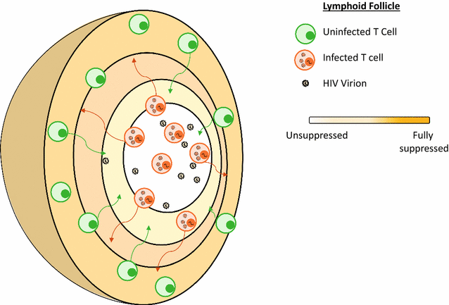 Fig. 3