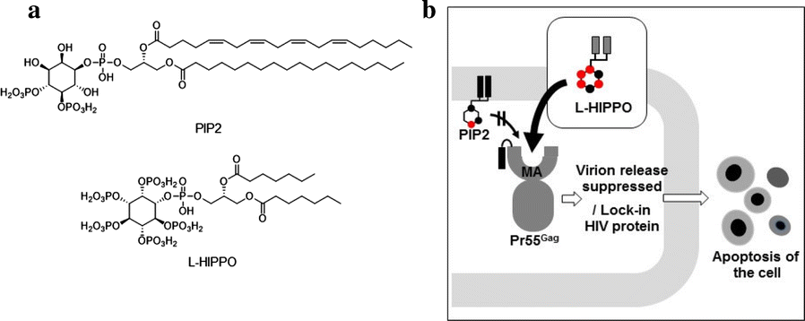 Fig. 1