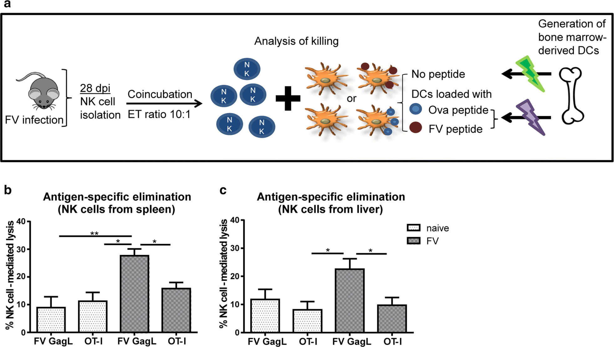 Fig. 4