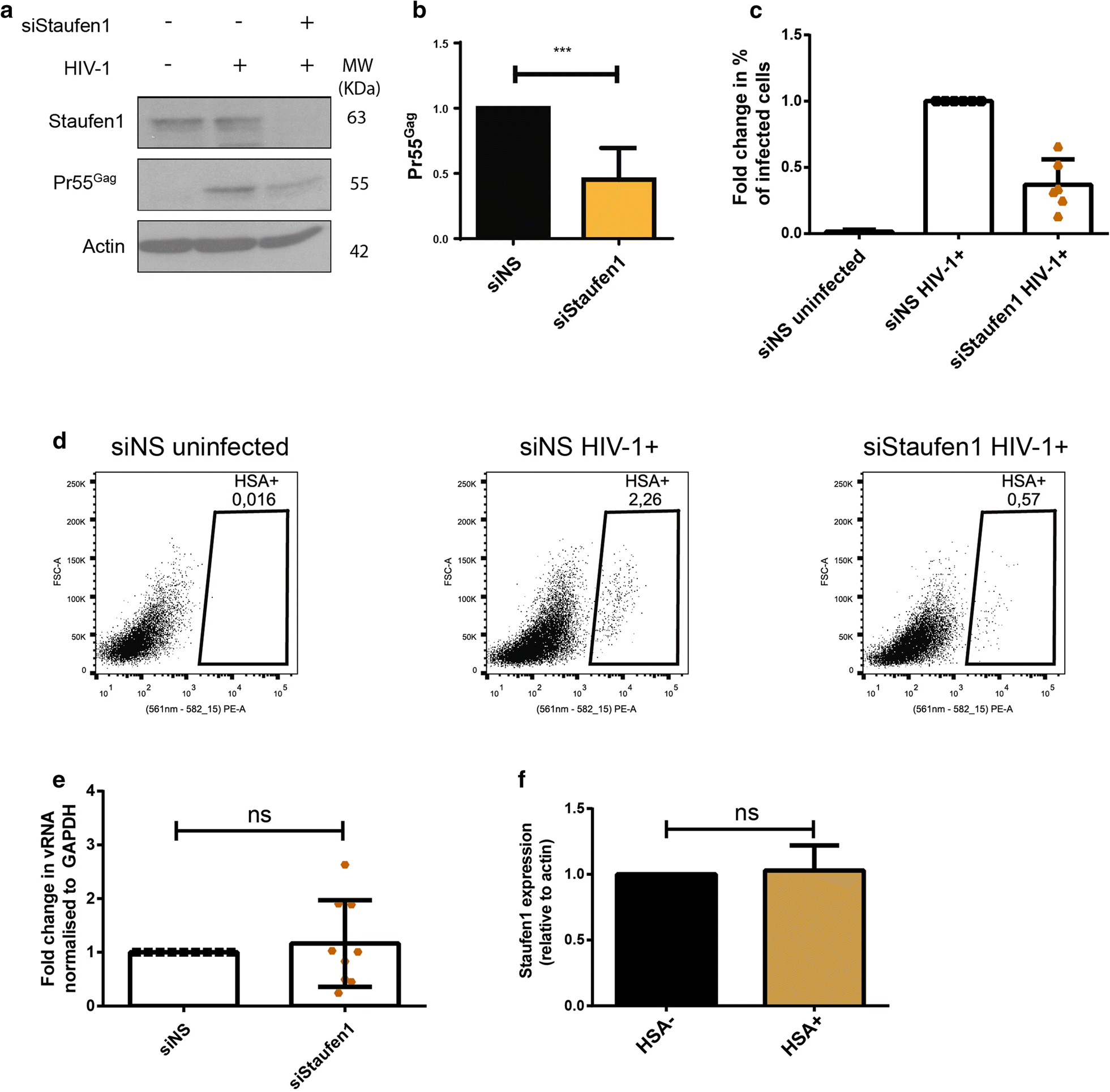 Fig. 5