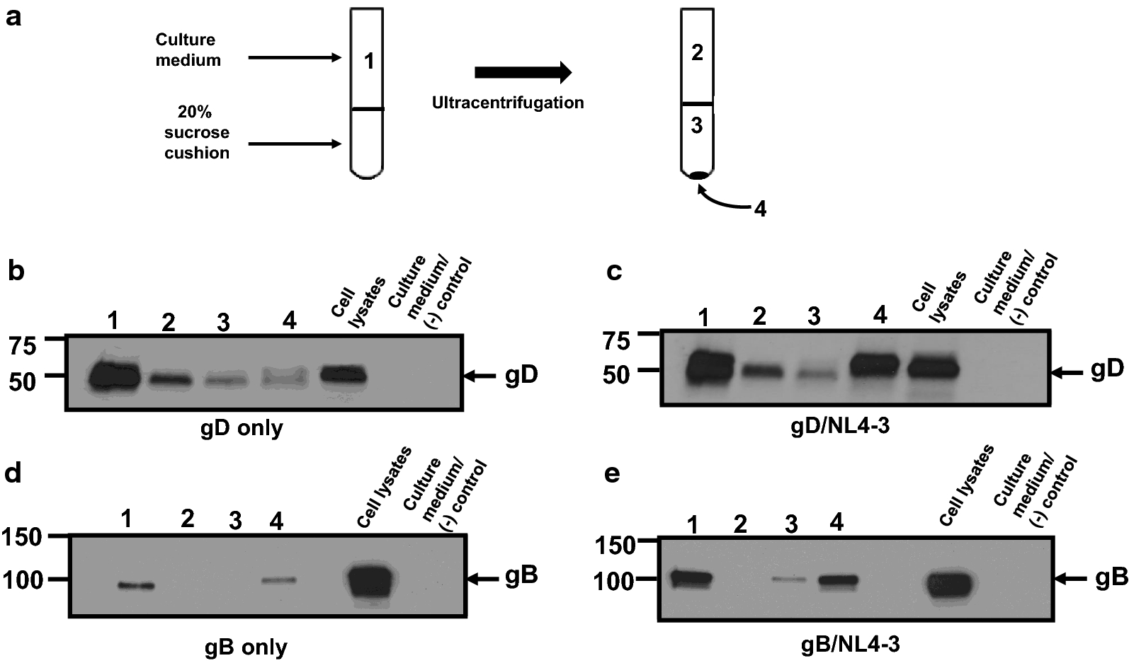 Fig. 6