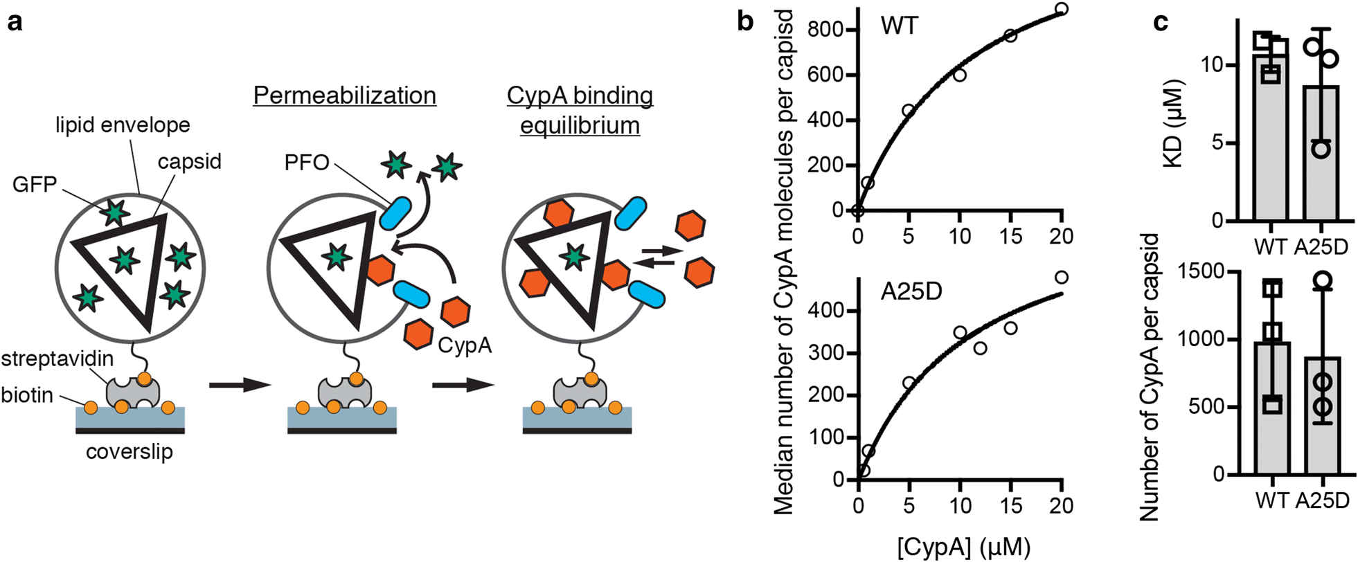 Fig. 4