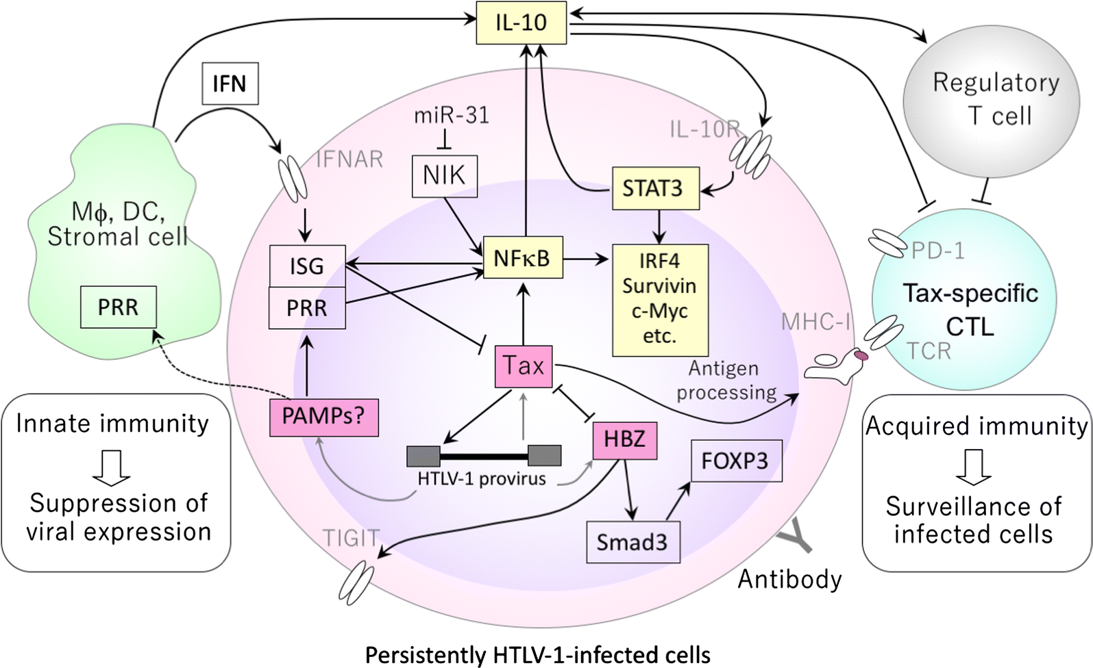 Fig. 1