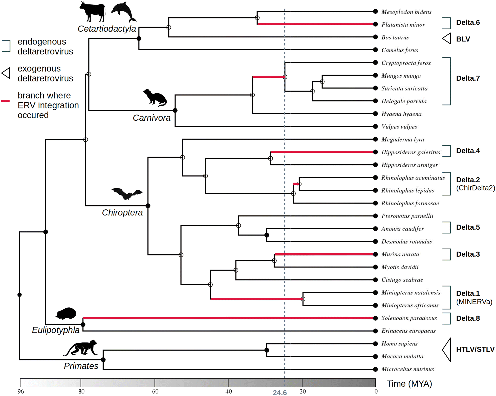 Fig. 3