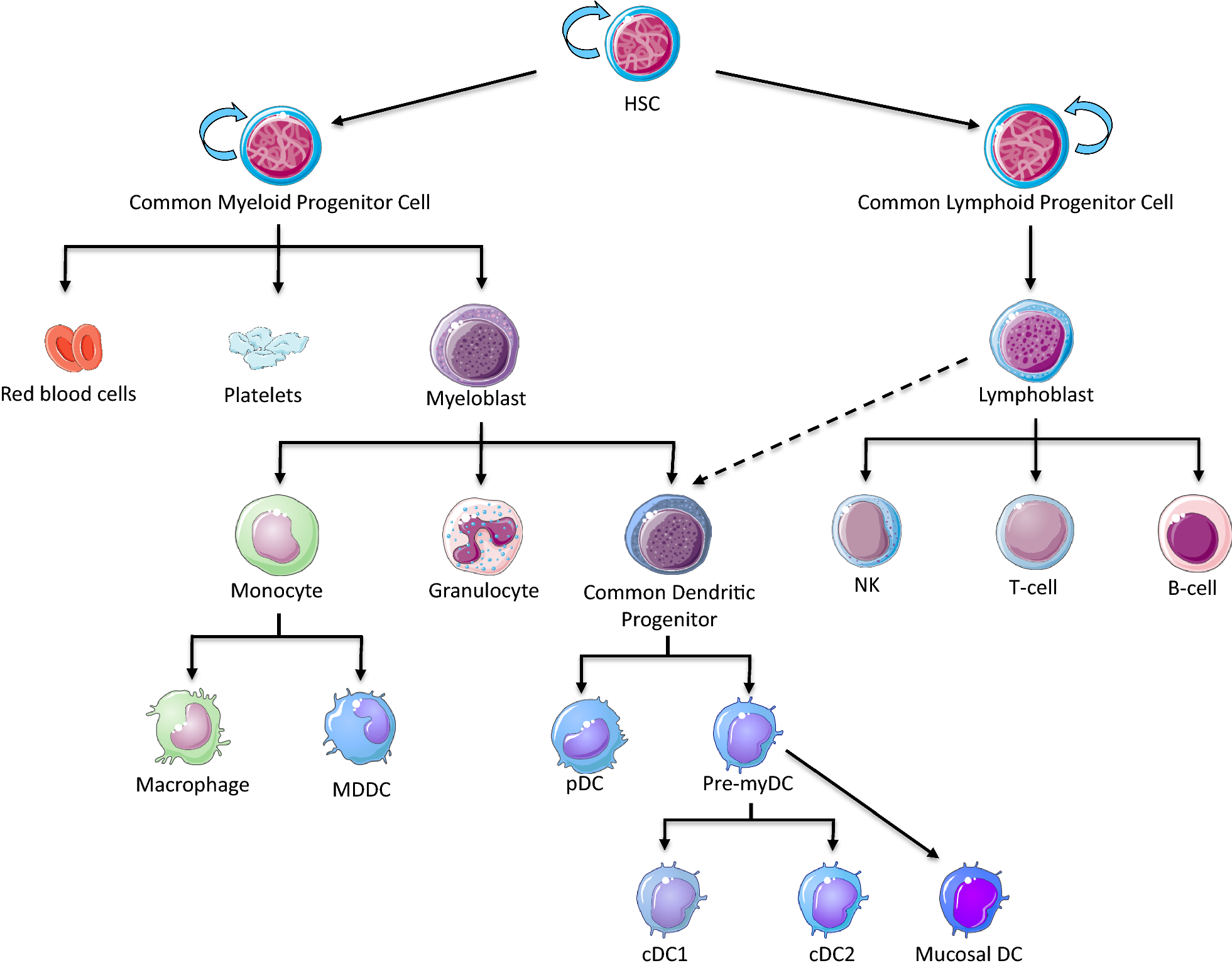 Fig. 1