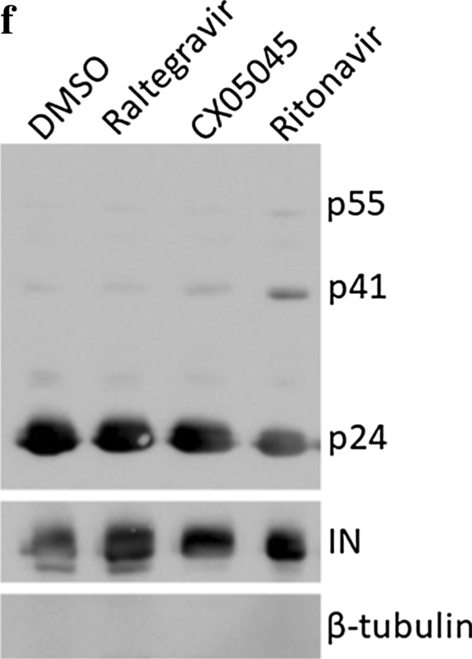 Fig. 3