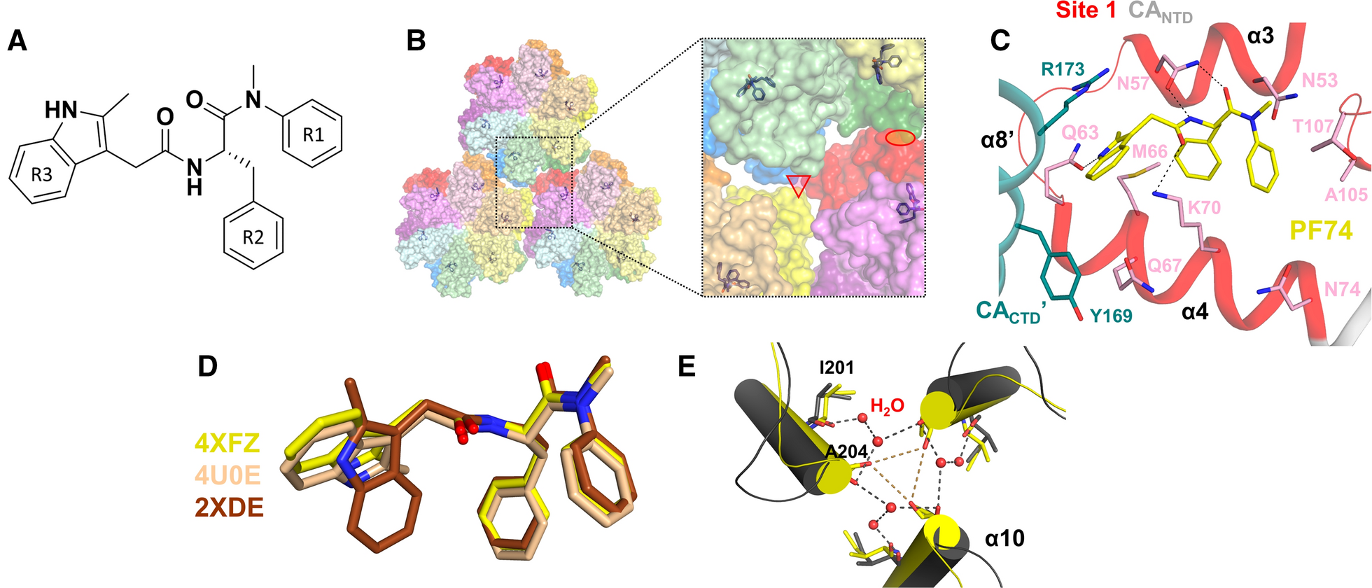 Fig. 3