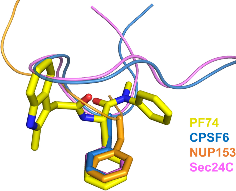 Fig. 4