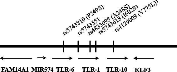 Fig. 1