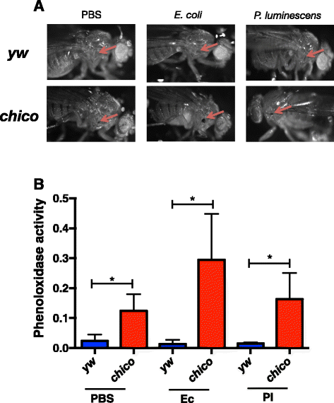 Fig. 4