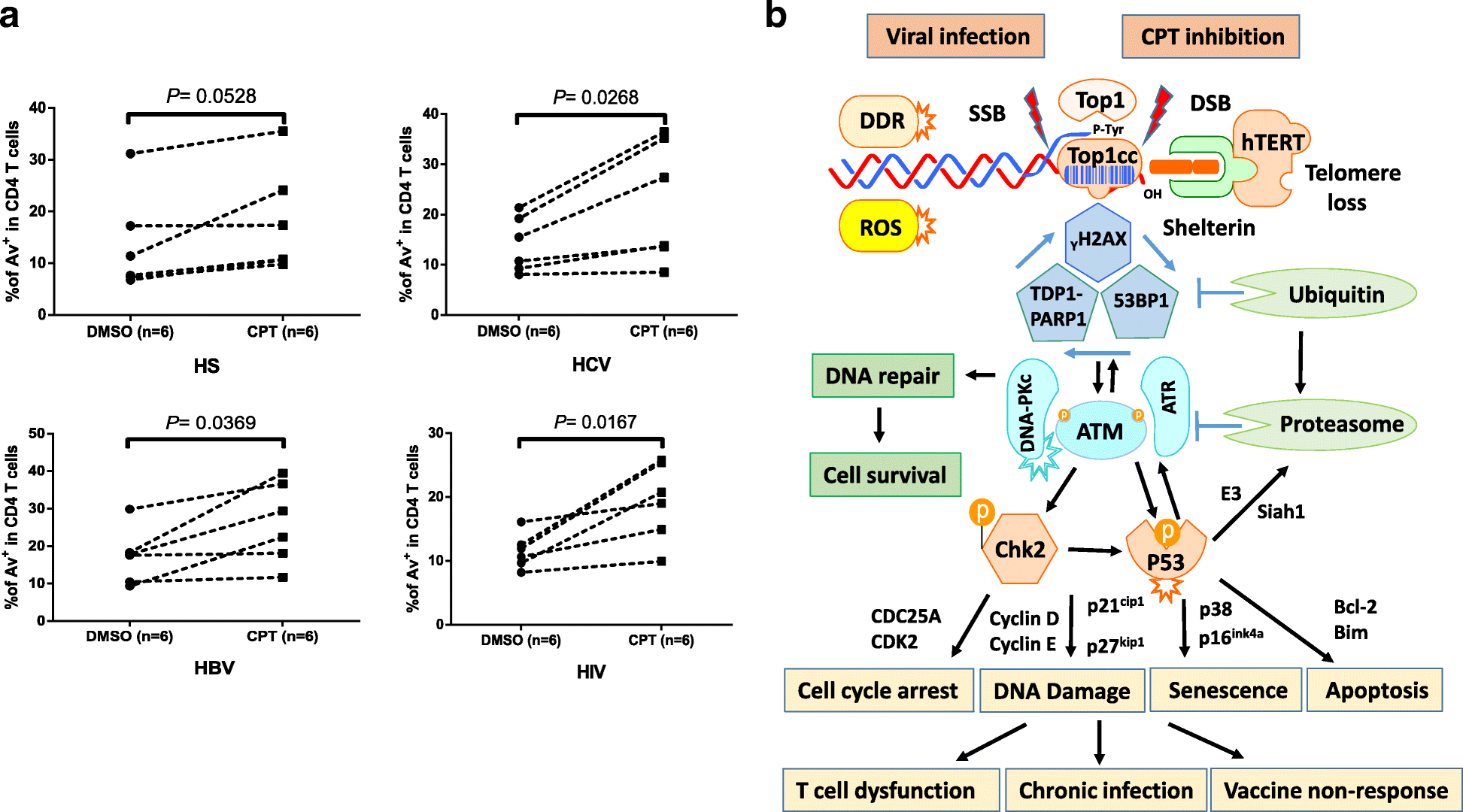 Fig. 6