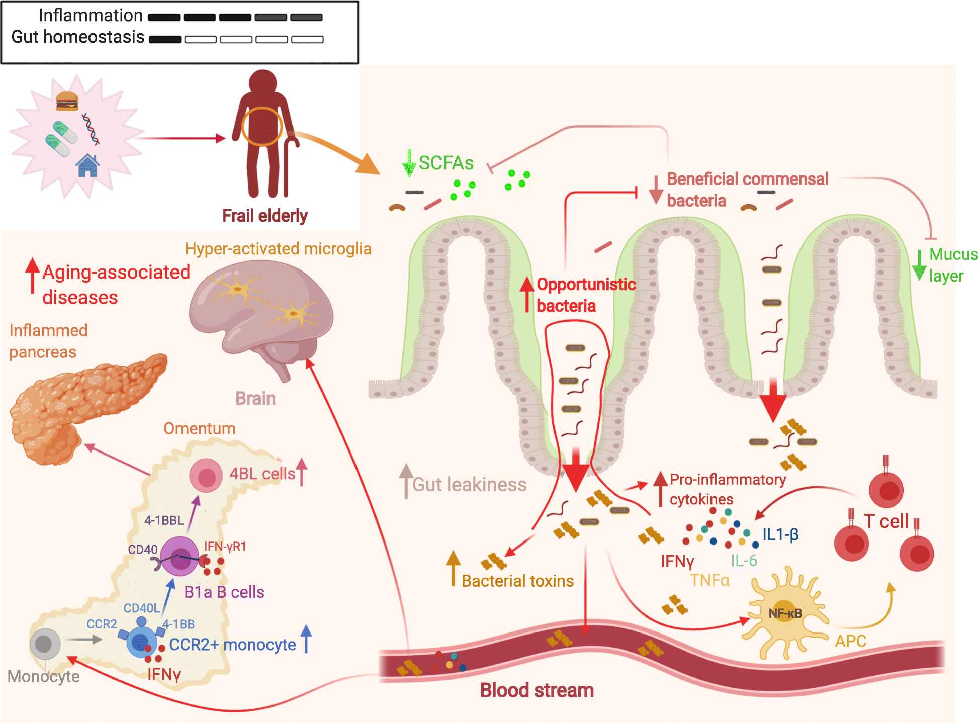 Fig. 3