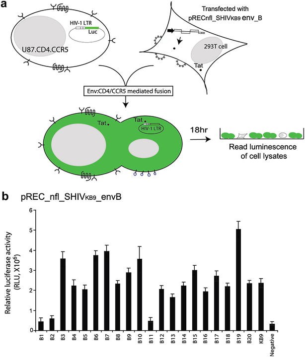 Fig. 3