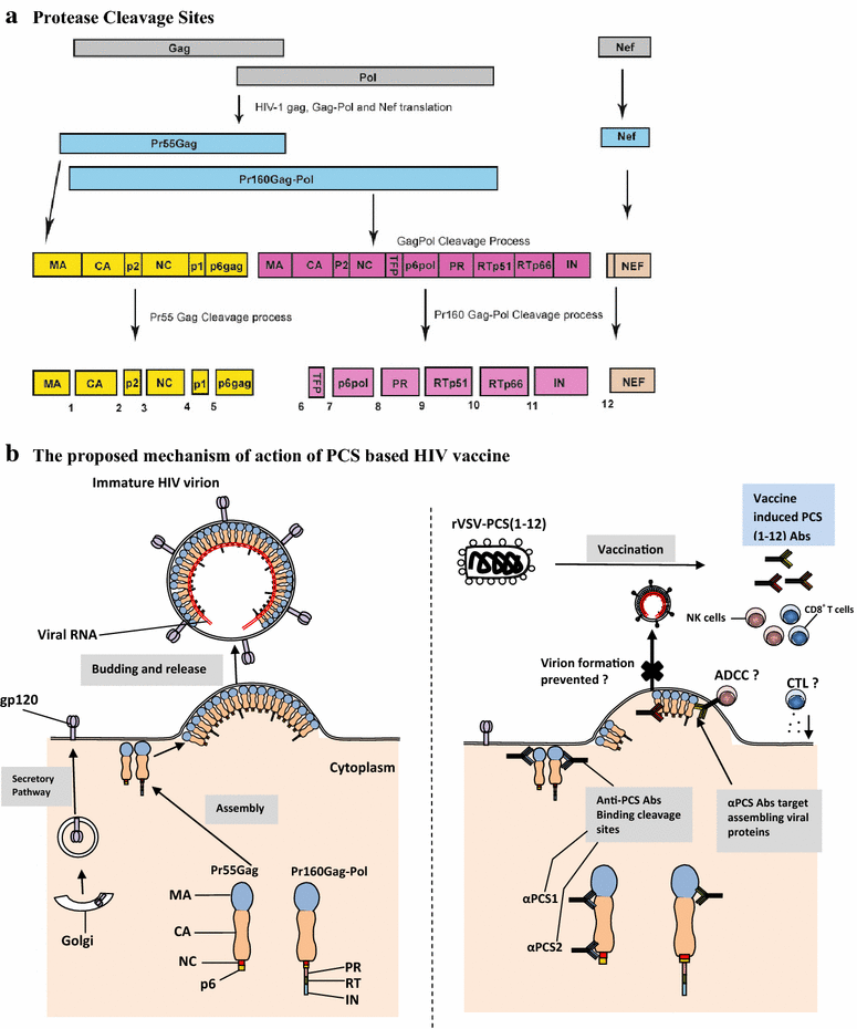 Fig. 1