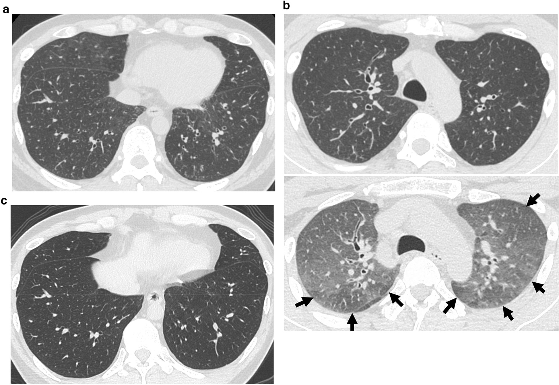 Fig. 3