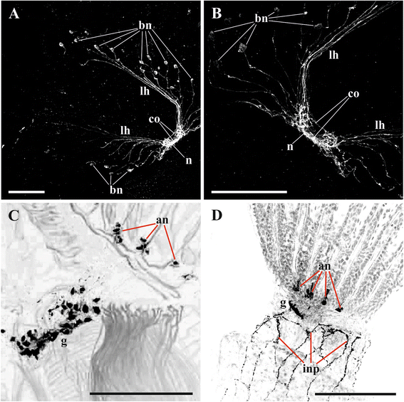 Fig. 8