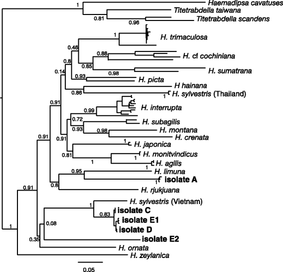 Idna From Terrestrial Haematophagous Leeches As A Wildlife Surveying - fig 2