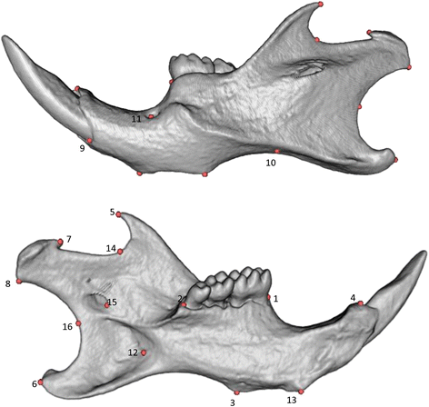 Fig. 5