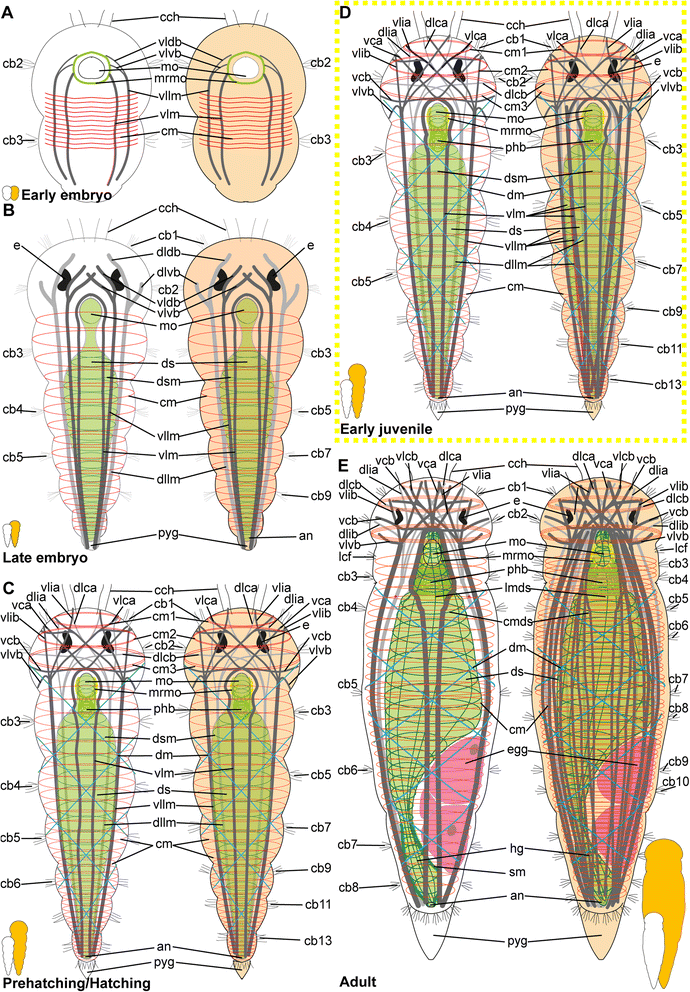 Fig. 13