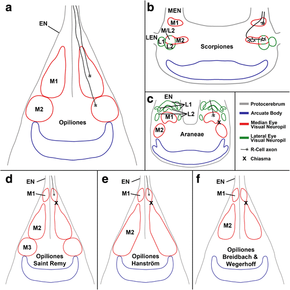 Fig. 8