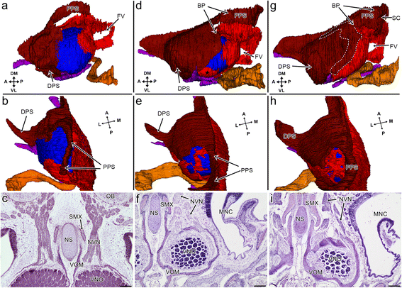 Fig. 8