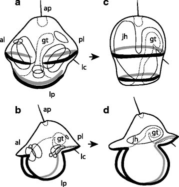 Fig. 11