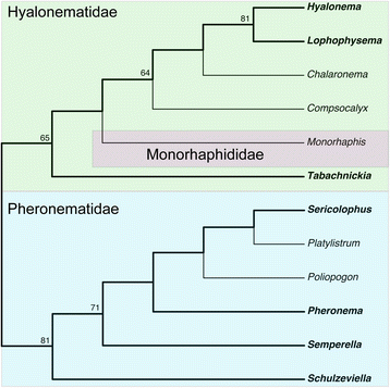 Fig. 8