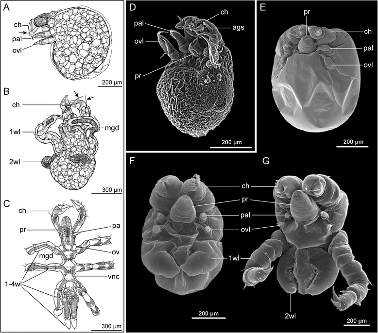 Fig. 6