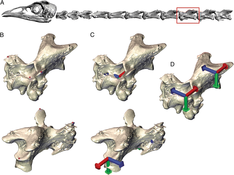 Fig. 1