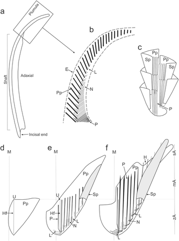 Fig. 8