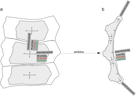 Fig. 9