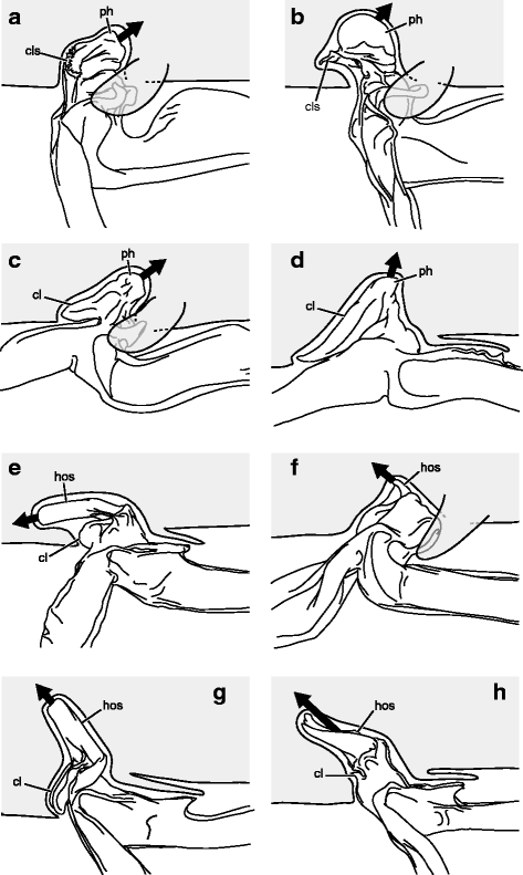 Fig. 14