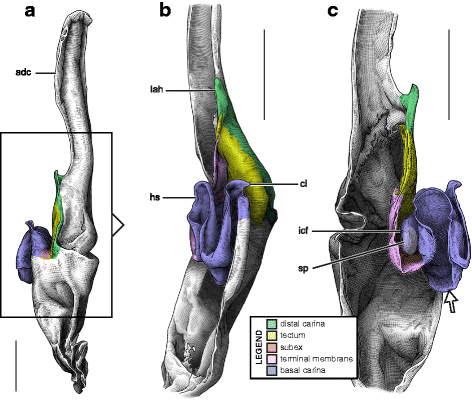 Fig. 33