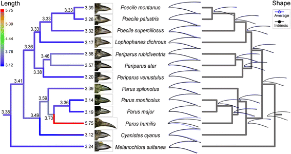 Fig. 2