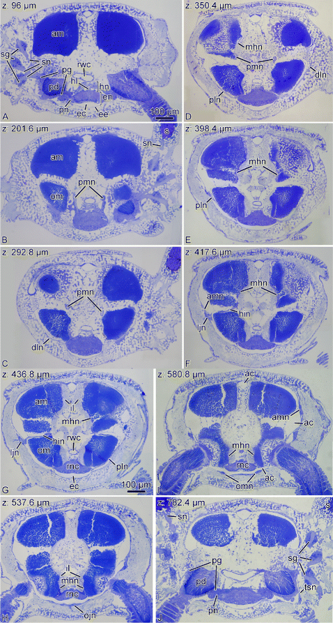 Fig. 5