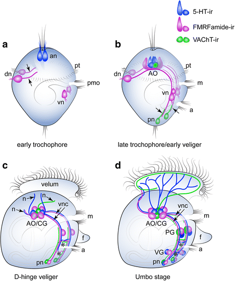 Fig. 8