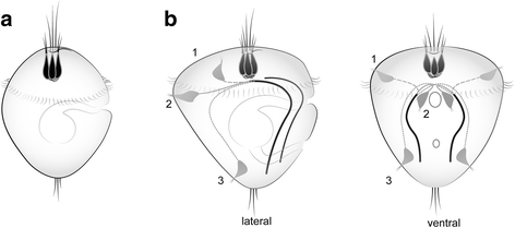 Fig. 9