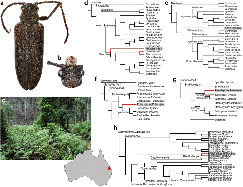 Fig. 1