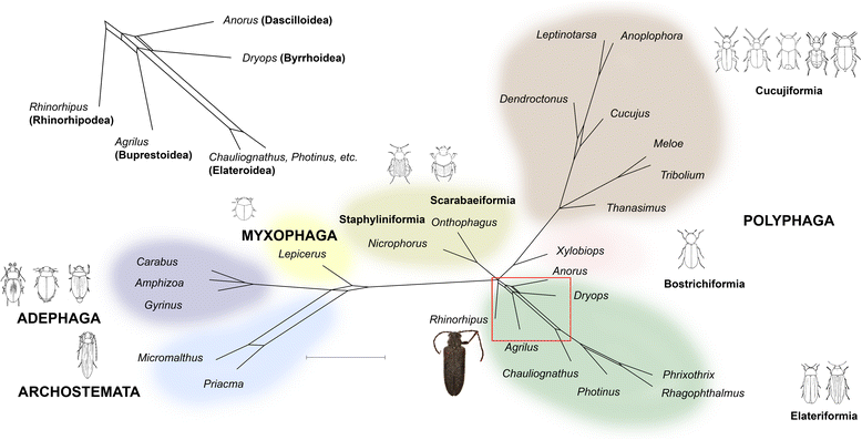 Fig. 4