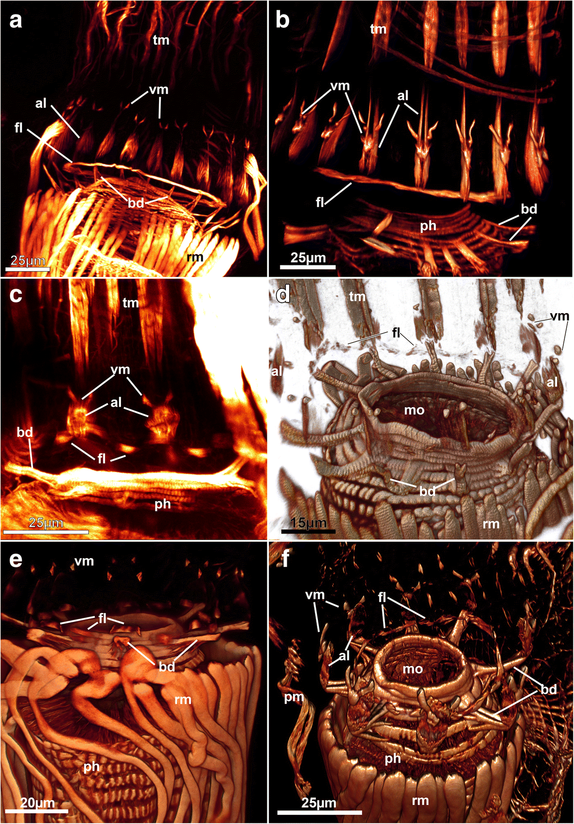 Fig. 13