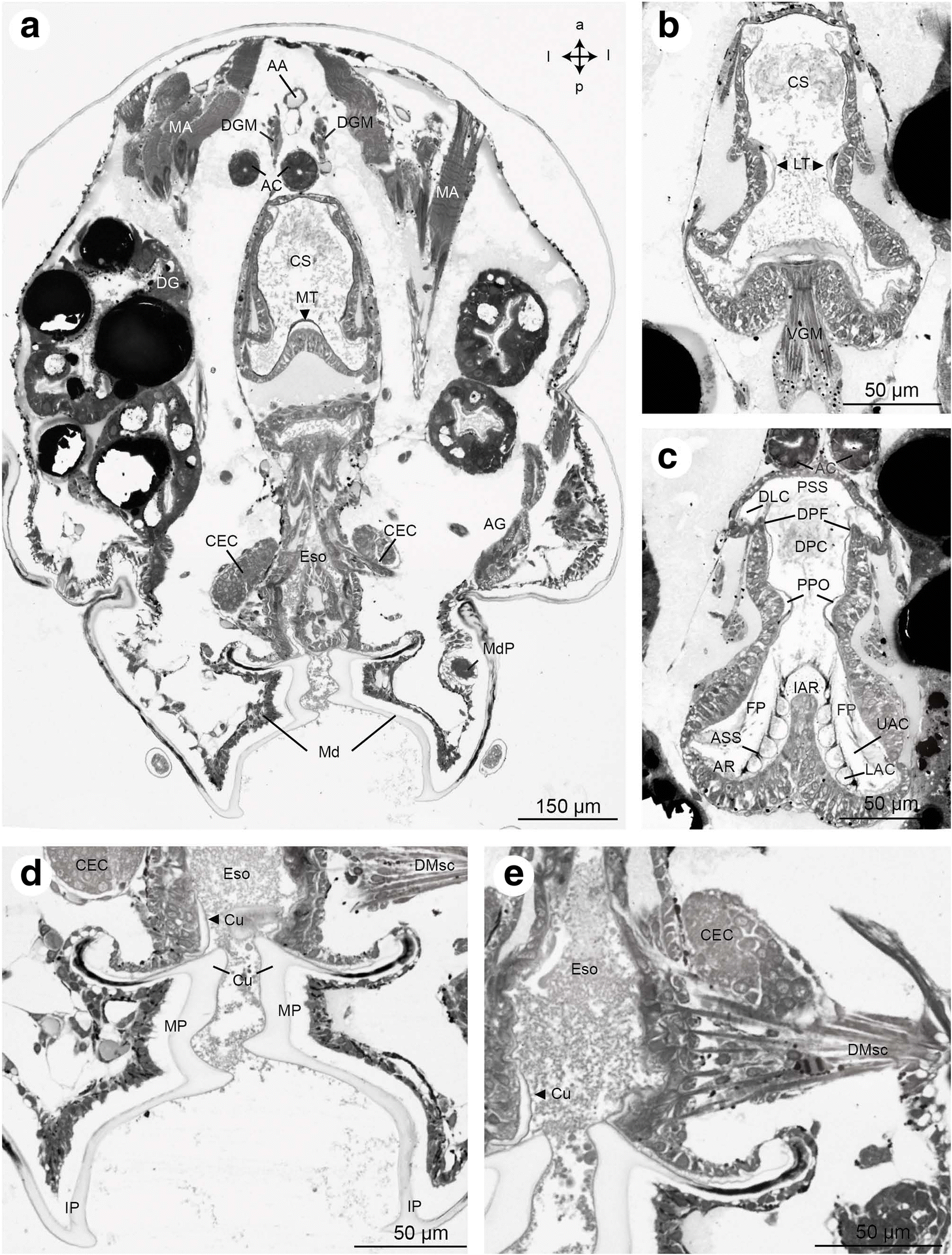 Fig. 14