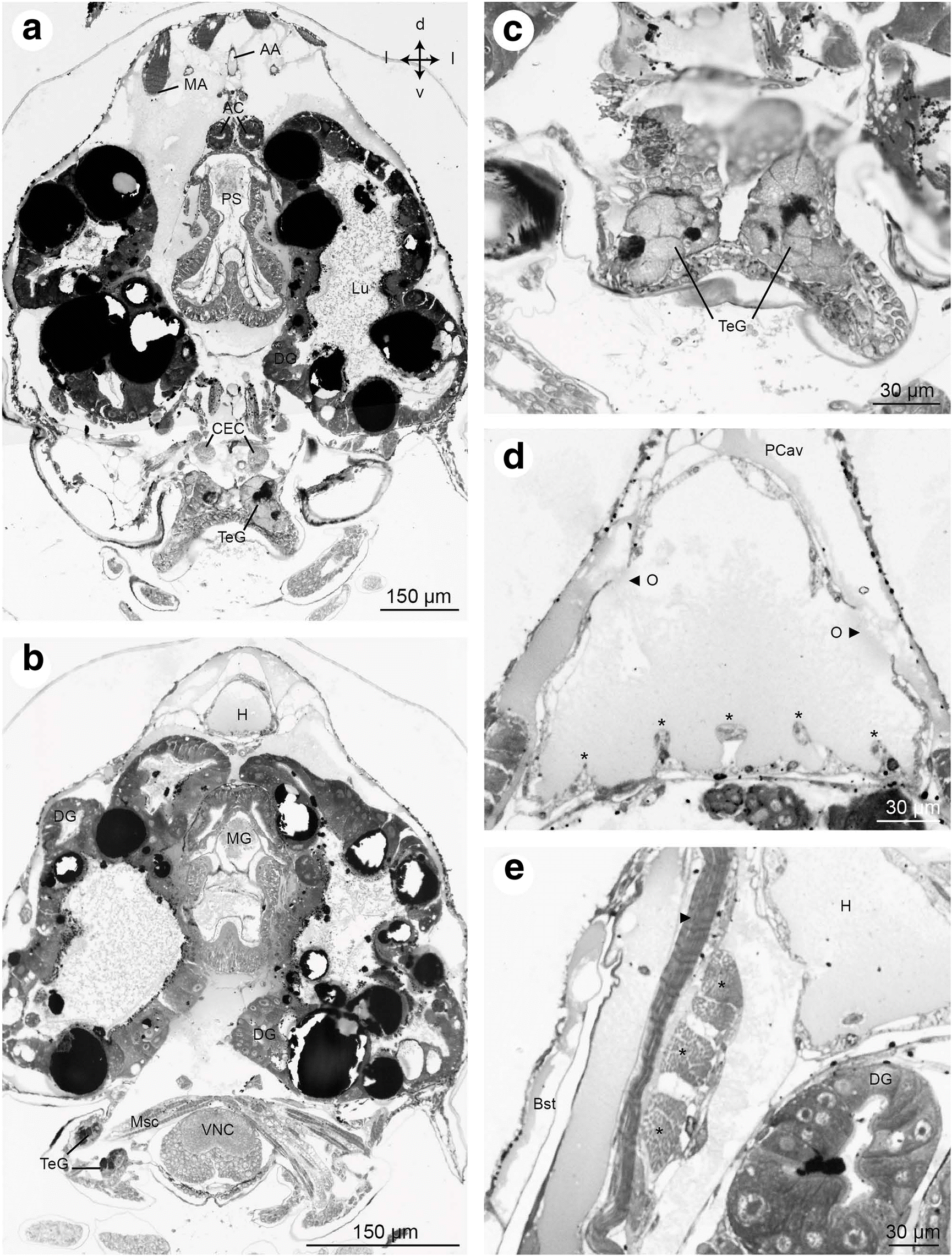 Fig. 15