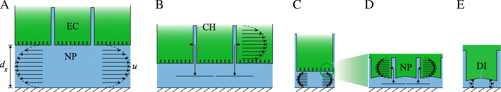 Fig. 8