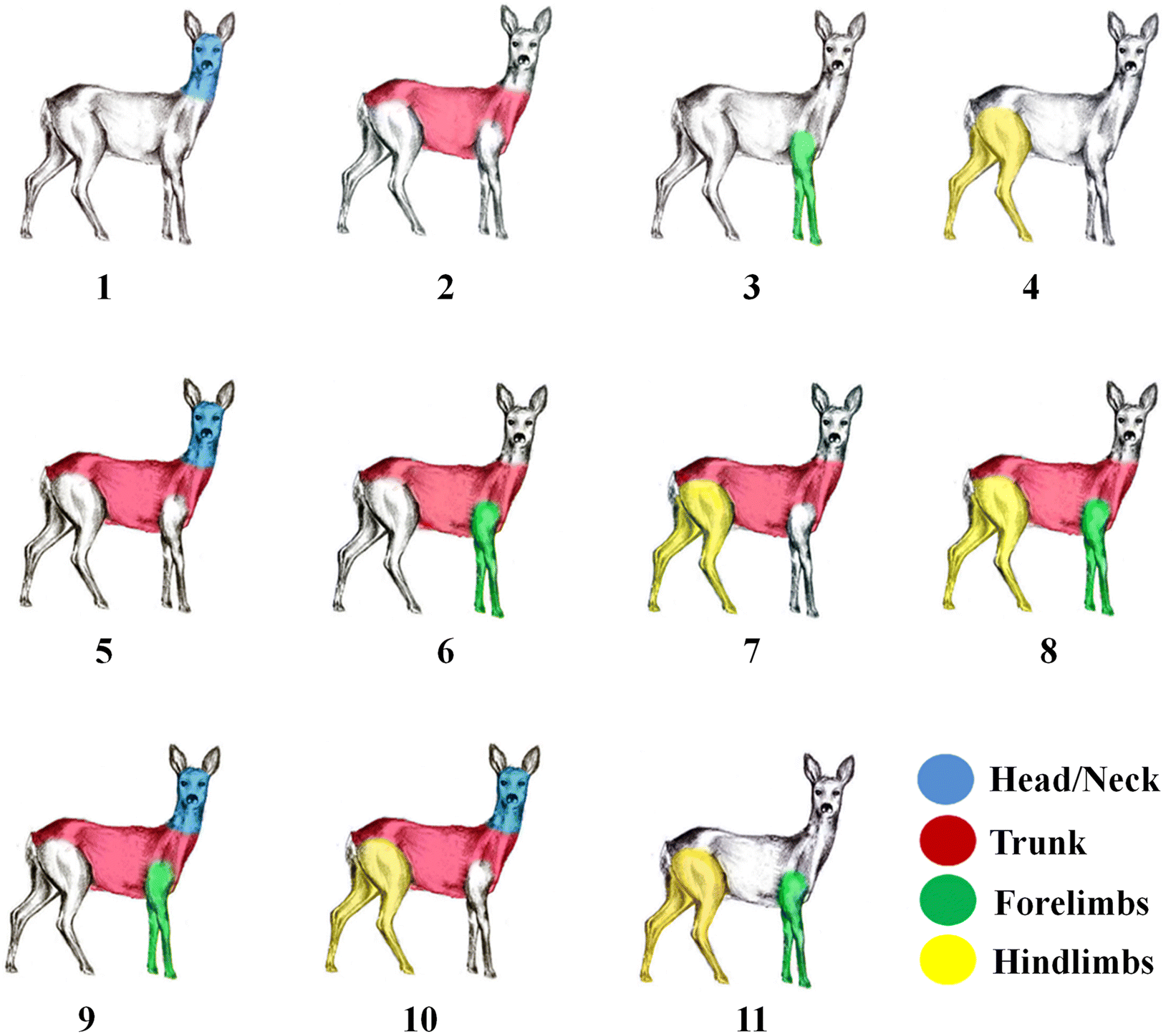 Fig. 2