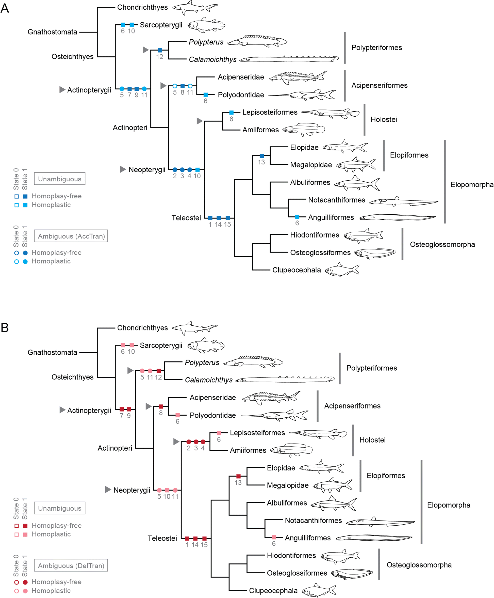 Fig. 10